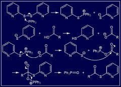 你知道肽的制取方式有哪些么？